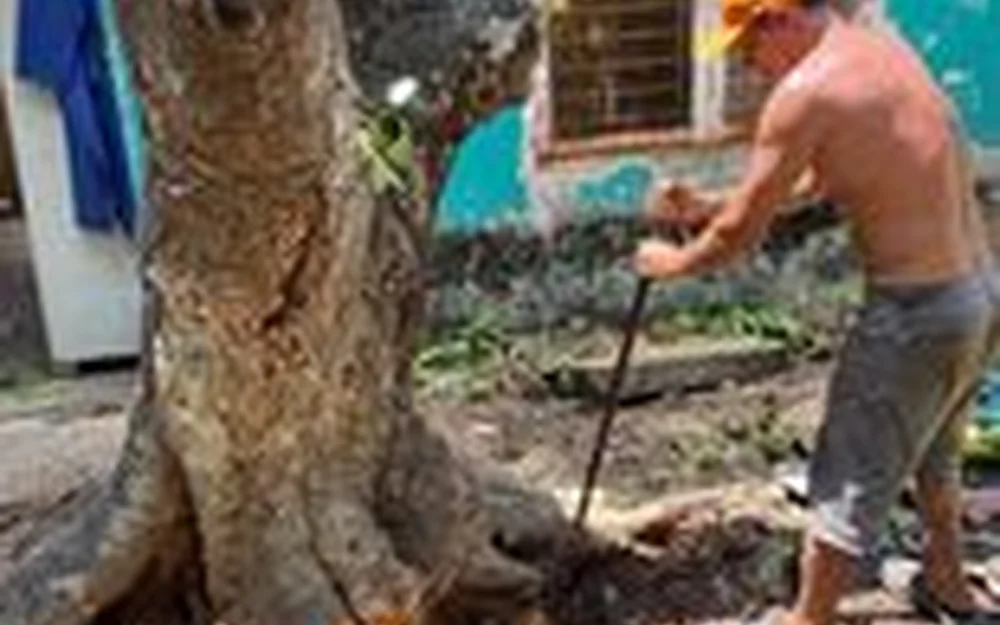Phun thuốc trừ sâu, trị bệnh